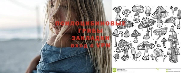экстази Осташков