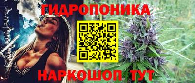 бошки Гай
