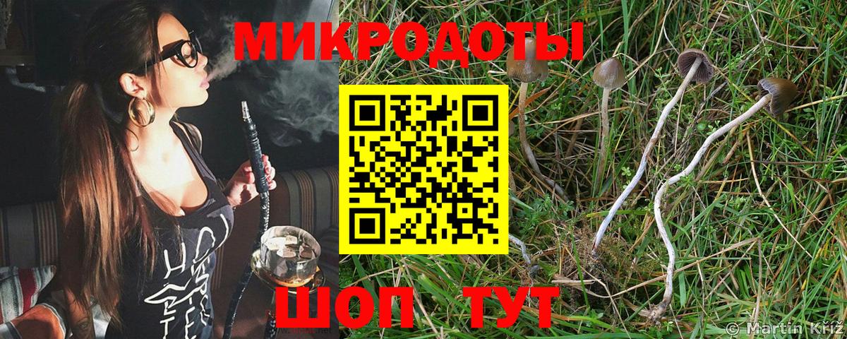 Псилоцибиновые грибы мицелий  Галлюциногенные грибы Psilocybine cubensis  Краснокамск 